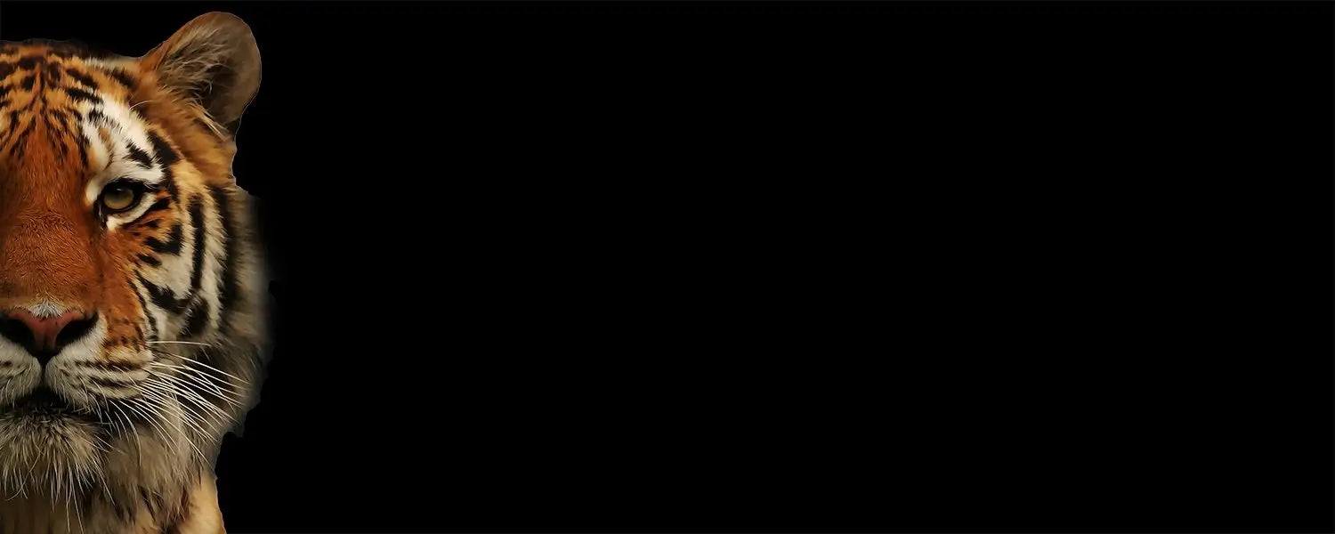 les-animaux-dans-le-bouddhisme