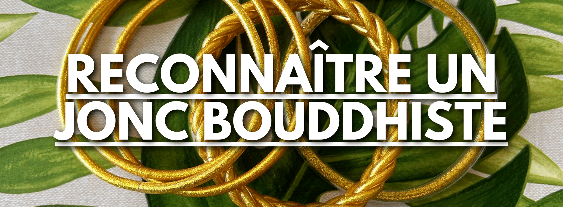 comment-reconnaitre-un-vrai-jonc-bouddhiste Image