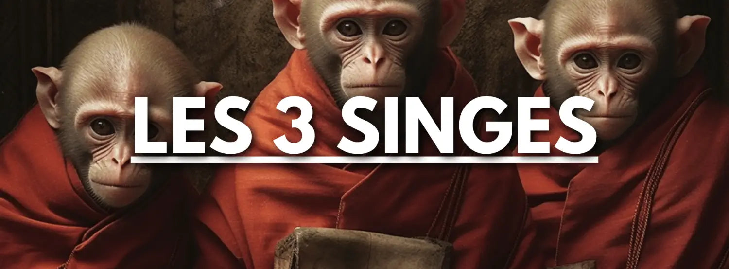 les-3-singes-de-la-sagesse Image