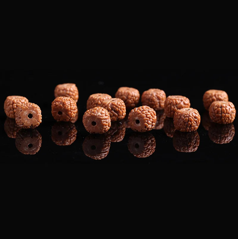 Bodhi Seed Bracelet for Men - Natural Tibetan Mala Beads - Adjustable Buddhist Jewelry | Buddhive