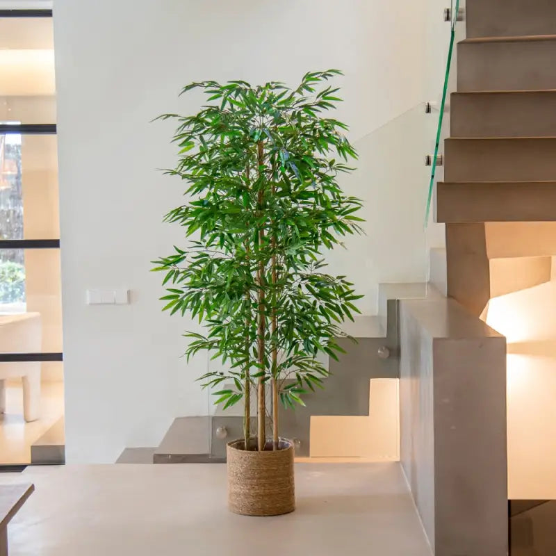 Artificial Bamboo Plant 6ft Tall - Realistic Zen Decor with Natural Reeds | Buddhive