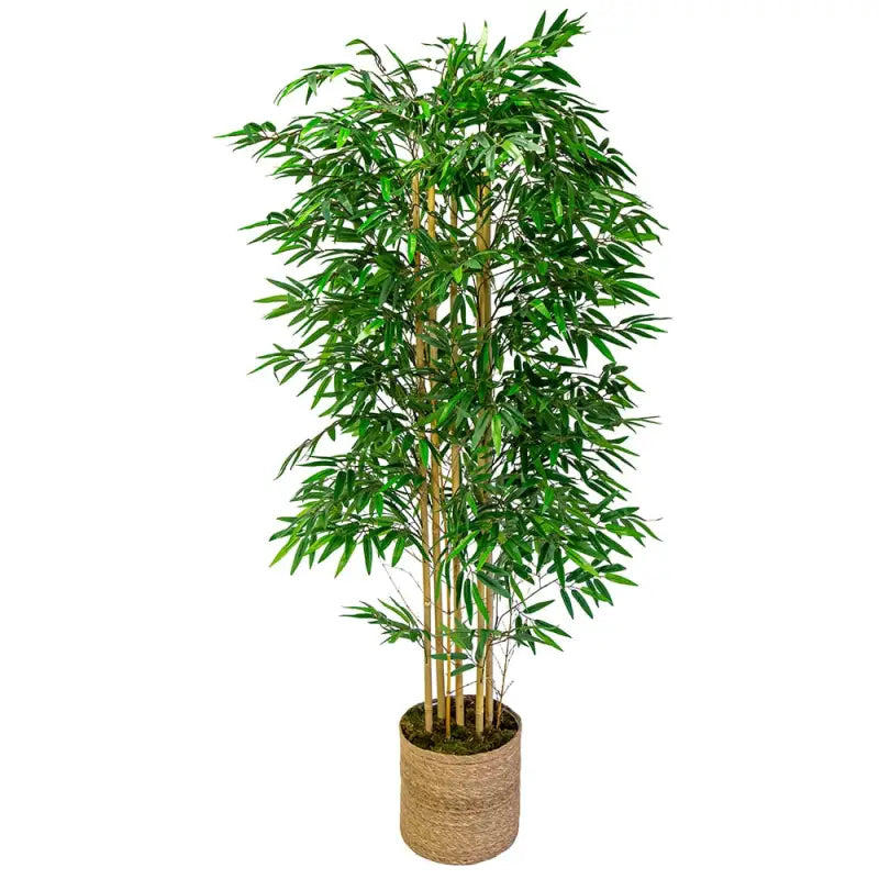 Artificial Bamboo Plant 6ft Tall - Realistic Zen Decor with Natural Reeds | Buddhive