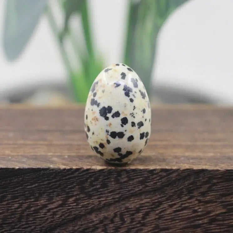 Yoni Egg Dalmatian Jasper - Natural Stone Wellness Tool for Women | Buddhive