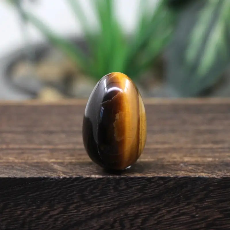 Yoni Egg Tiger's Eye - Natural Stone 20x30mm for Wellness & Energy | Buddhive