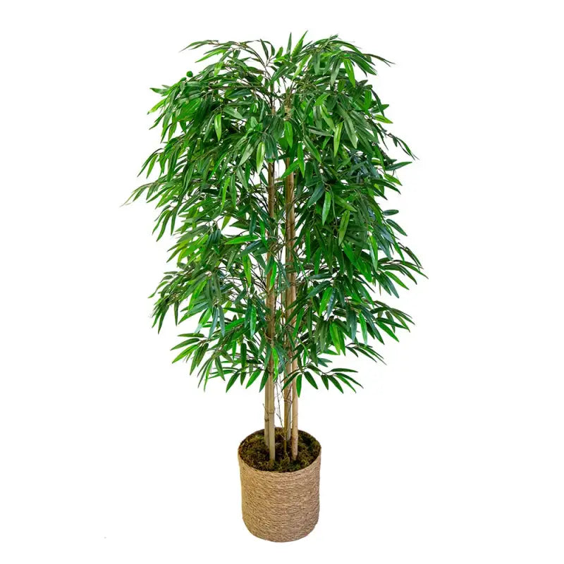 Artificial Bamboo Plant 41" & 59" Zen Decor - Natural Trunks, Silk Leaves | Buddhive