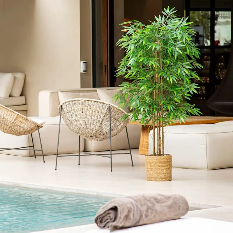 Artificial Bamboo Plant 41" & 59" Zen Decor - Natural Trunks, Silk Leaves | Buddhive
