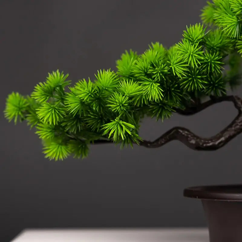 Pine Tanha Artificial Bonsai