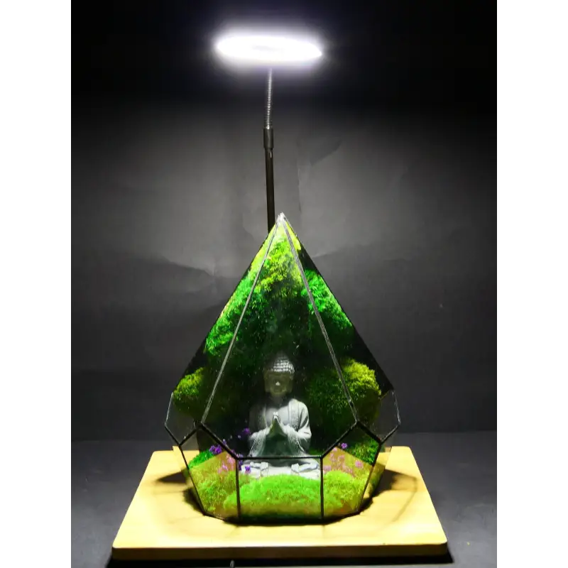 Terrarium with Buddha statue